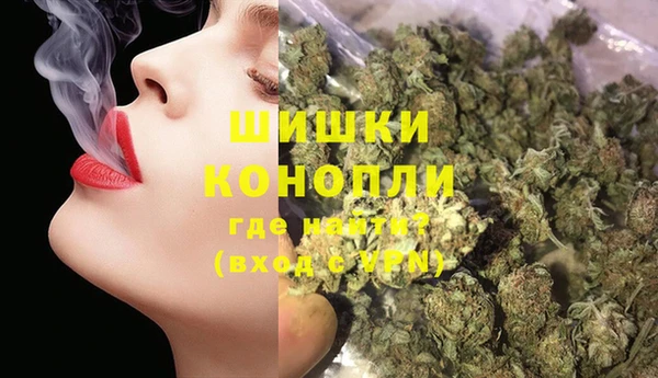 PSILOCYBIN Козельск
