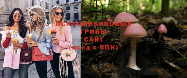 PSILOCYBIN Козельск