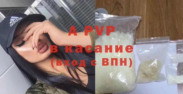 PSILOCYBIN Козельск